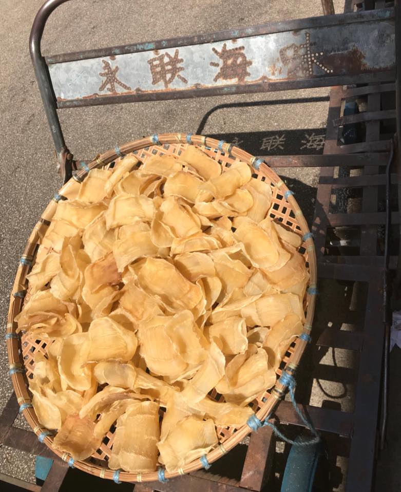 Indian white fish maw